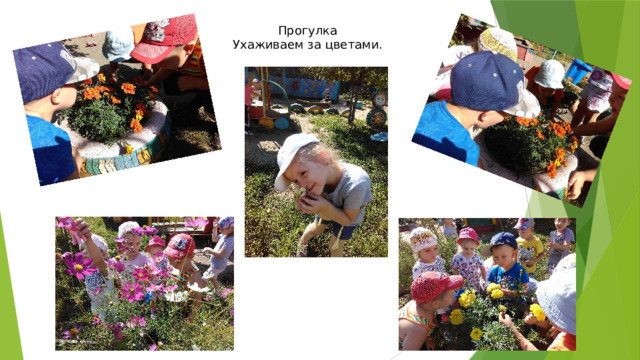 Прогулка Ухаживаем за цветами. 