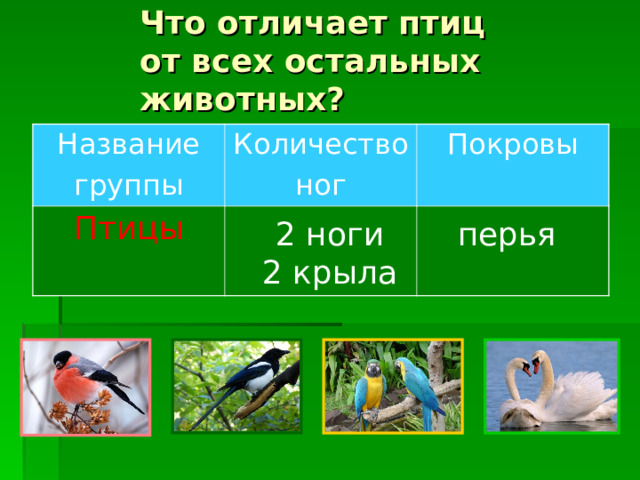 Что отличает птиц  от всех остальных животных? Название группы Количество ног Птицы Покровы 2 ноги 2 крыла перья 