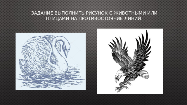 Задание Выполнить рисунок с животными или птицами на противостояние линий. 