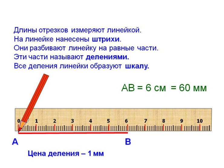 Чертеж в мм или см