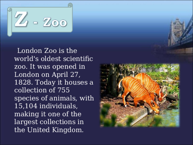  London Zoo is the world's oldest scientific zoo. It was opened in London on April 27, 1828. Today it houses a collection of 755 species of animals, with 15,104 individuals, making it one of the largest collections in the United Kingdom. 