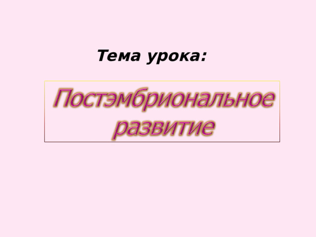  Тема урока: 