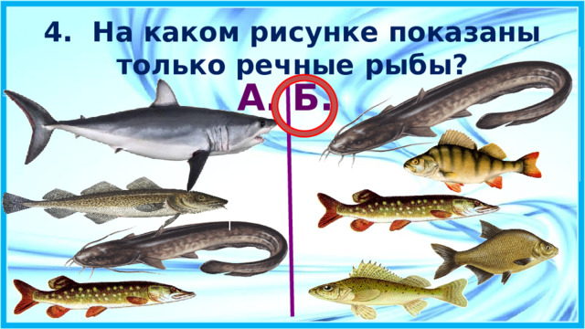 4. На каком рисунке показаны только речные рыбы? А. Б. 