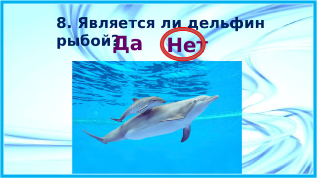  8. Является ли дельфин рыбой? Да  Нет  