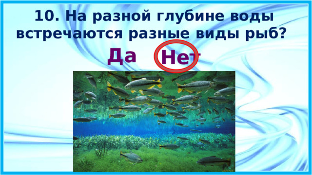 10. На разной глубине воды встречаются разные виды рыб?   Да  Нет  