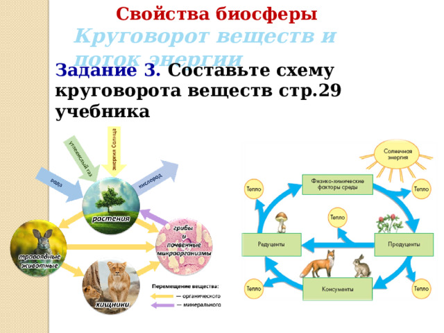 Круговорот веществ в биосфере обеспечивают. Свойства биосферы. Поток энергии в биосфере