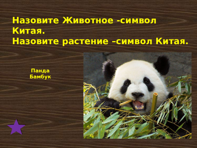 Назовите Животное -символ Китая. Назовите растение –символ Китая. Панда  Бамбук   
