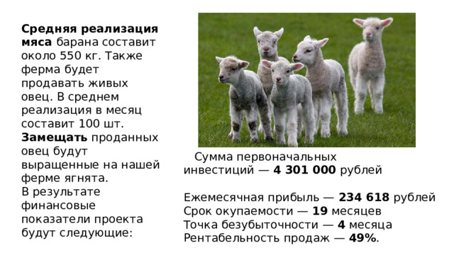  Средняя реализация мяса барана составит около 550 кг. Также ферма будет продавать живых овец. В среднем реализация в месяц составит 100 шт. Замещать проданных овец будут выращенные на нашей ферме ягнята. В результате финансовые показатели проекта будут следующие:  Сумма первоначальных инвестиций —  4 301 000  рублей   Ежемесячная прибыль —  234 618  рублей Срок окупаемости —  19  месяцев Точка безубыточности —  4  месяца Рентабельность продаж —  49% . 
