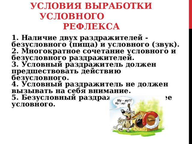 УСЛОВИЯ ВЫРАБОТКИ УСЛОВНОГО РЕФЛЕКСА 1. Наличие двух раздражителей - безусловного (пища) и условного (звук).  2. Многократное сочетание условного и безусловного раздражителей.  3. Условный раздражитель должен предшествовать действию безусловного.  4. Условный раздражитель не должен вызывать на себя внимание.  5. Безусловный раздражитель сильнее условного. 