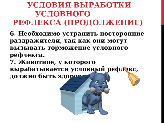 УСЛОВИЯ ВЫРАБОТКИ УСЛОВНОГО РЕФЛЕКСА (ПРОДОЛЖЕНИЕ) 6. Необходимо устранить посторонние раздражители, так как они могут вызывать торможение условного рефлекса.  7. Животное, у которого вырабатывается условный рефлекс, должно быть здоровым.   