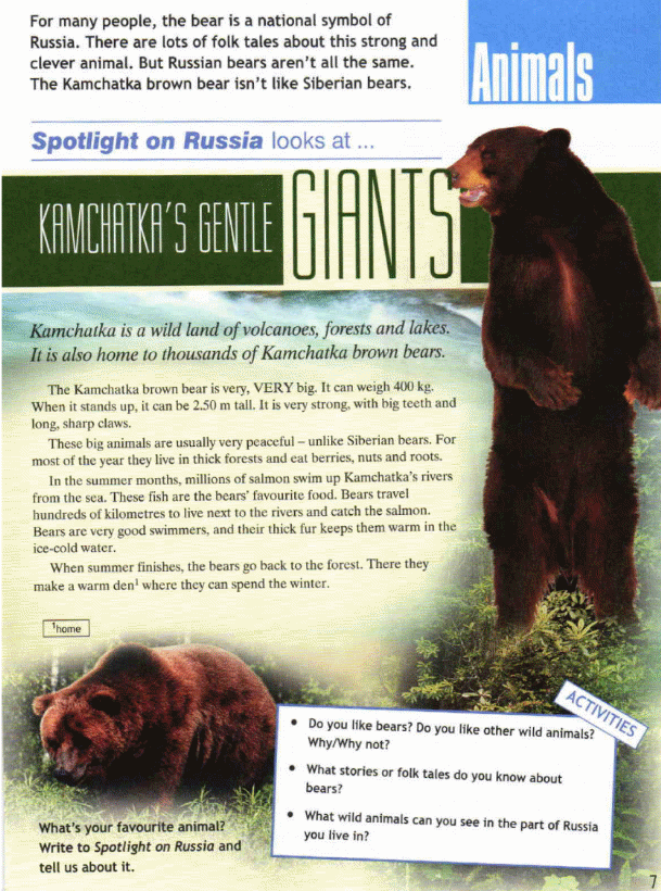 Bear very. Spotlight on Russia 5 класс. Spotlight on Russia 6 класс. Spotlight on Russia 6 класс стр 5. Spotlight on Russia 11 класс.