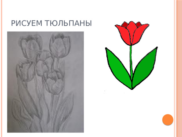 Рисуем тюльпаны 