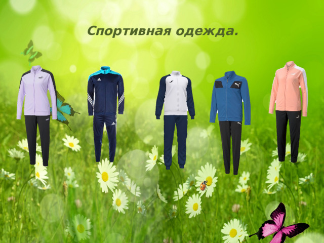 Спортивная одежда. 