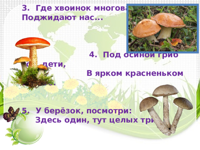 3.  Где хвоинок многовато,  Поджидают нас...     4.  Под осиной гриб тот, дети,  В ярком красненьком берете.   5.  У берёзок, посмотри:  Здесь один, тут целых три! 