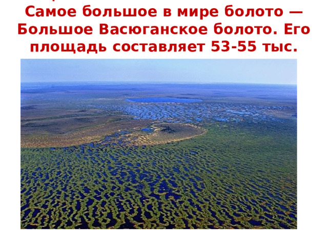 А ещё в России есть самое самое…  Самое большое в мире болото — Большое Васюганское болото. Его площадь составляет 53-55 тыс. кв.км. 