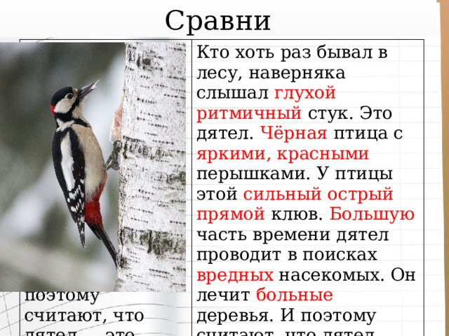 Сравни Кто хоть раз бывал в лесу, наверняка слышал стук. Это дятел. птица с перышками. У птицы этой клюв. Часть времени дятел проводит в поисках насекомых. Он лечит деревья. И поэтому считают, что дятел — это лекарь. Кто хоть раз бывал в лесу, наверняка слышал глухой ритмичный стук. Это дятел. Чёрная птица с яркими, красными перышками. У птицы этой сильный острый прямой клюв. Большую часть времени дятел проводит в поисках вредных насекомых. Он лечит больные деревья. И поэтому считают, что дятел — это лесной лекарь. 