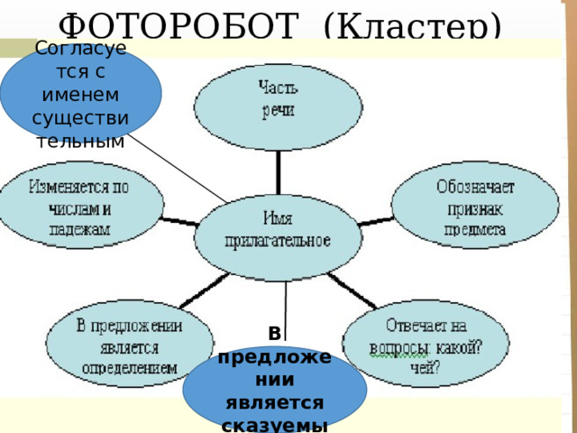 ФОТОРОБОТ (Кластер) Согласуется с именем существительным В предложении является сказуемым 