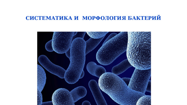   СИСТЕМАТИКА И МОРФОЛОГИЯ БАКТЕРИЙ   . 