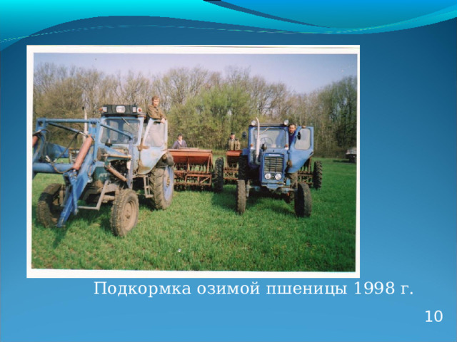 Подкормка озимой пшеницы 1998 г. 10 