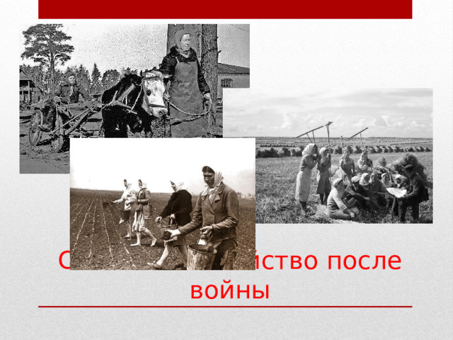 Сельское хозяйство после войны 