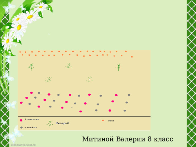 Митиной Валерии 8 класс 