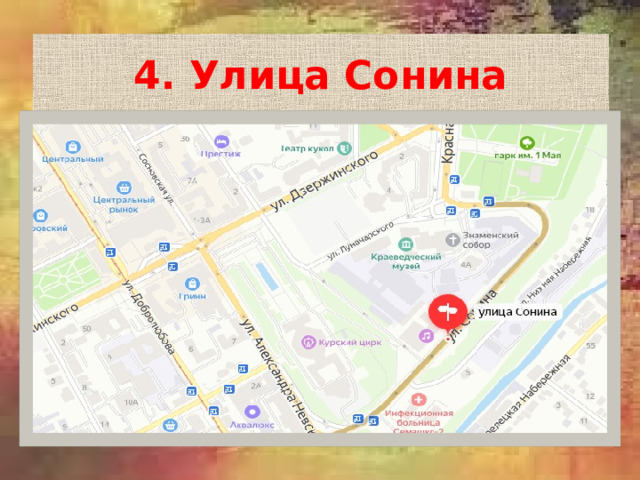 4. Улица Сонина 