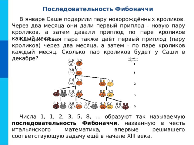 Последовательность Фибоначчи В январе Саше подарили пару новорождённых кроликов. Через два месяца они дали первый приплод - новую пару кроликов, а затем давали приплод по паре кроликов каждый месяц. Каждая новая пара также даёт первый приплод (пару кроликов) через два месяца, а затем - по паре кроликов каждый месяц. Сколько пар кроликов будет у Саши в декабре? Числа 1, 1, 2, 3, 5, 8, … образуют так называемую последовательность Фибоначчи , названную в честь итальянского математика, впервые решившего соответствующую задачу ещё в начале XIII века. 