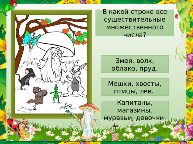 В какой строке все существительные множественного числа? Змея, волк, облако, пруд. Мешки, хвосты, птицы, лев. Капитаны, магазины, муравьи, девочки. 