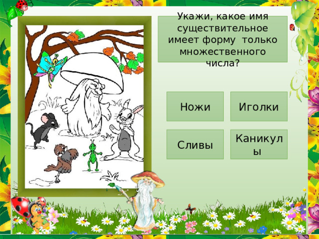 Укажи, какое имя существительное имеет форму только множественного числа? Ножи Иголки Сливы Каникулы 