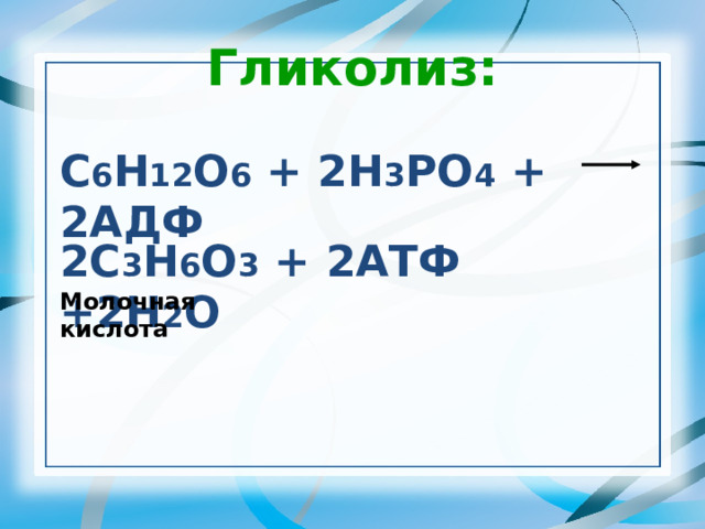 Гликолиз: С 6 Н 12 О 6 + 2Н 3 РО 4 + 2АДФ 2С 3 Н 6 О 3 + 2АТФ +2Н 2 О Молочная кислота 