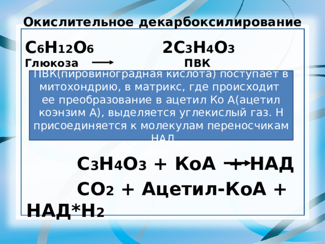 Окислительное декарбоксилирование   С 6 Н 12 О 6 2С 3 Н 4 О 3 Глюкоза ПВК ПВК(пировиноградная кислота) поступает в митохондрию, в матрикс, где происходит ее преобразование в ацетил Ко А(ацетил коэнзим А), выделяется углекислый газ. Н присоединяется к молекулам переносчикам НАД  С 3 Н 4 О 3 + КоА + НАД  СО 2 + Ацетил-КоА + НАД*Н 2 