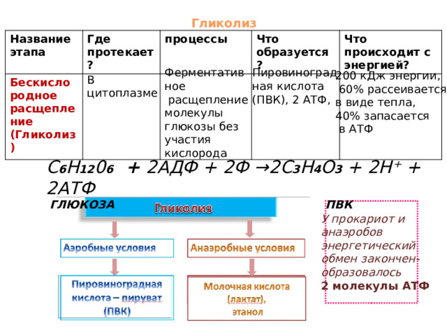 Гликолиз   Название этапа Где протекает? Бескислородное расщепление процессы (Гликолиз) Что образуется? Что происходит с энергией? Ферментативное Пировиноград  расщепление ная кислота (ПВК), 2 АТФ, молекулы глюкозы без участия кислорода 200 кДж энергии,  60% рассеивается в виде тепла, 40% запасается  в АТФ В цитоплазме С 6 Н 12 0 6 + 2АДФ + 2Ф →2С 3 Н 4 О 3 + 2Н⁺ + 2АТФ  глюкоза  ПВК У прокариот и анаэробов энергетический обмен закончен- образовалось 2 молекулы АТФ 