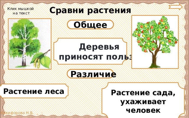 Деревья приносят пользу. Различие леса и сада. Культурные растения деревья примеры. Какую пользу приносят деревья. Приносят деревья какую пользу приносят деревья.