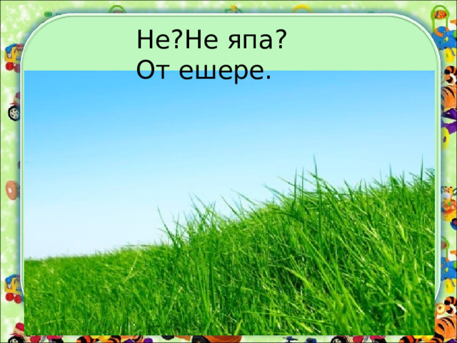 Не?Не япа? От ешере. 