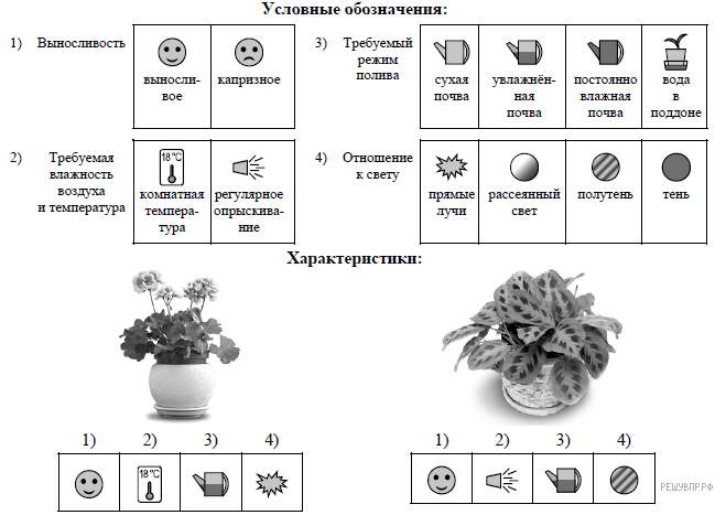 Диагностическая работа по биологии. Маркировка растений схема. Растения по разному относятся к свету теплу. Особенности растений при их разведении. По каким позициям приведённым в описании эти растения имеют.