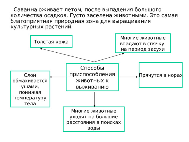  Саванна оживает летом, после выпадения большого количества осадков. Густо заселена животными. Это самая благоприятная природная зона для выращивания культурных растений. Многие животные впадают в спячку на период засухи Толстая кожа Прячутся в норах Способы приспособления животных к выживанию Слон обмахивается ушами, понижая температуру тела Многие животные уходят на большие расстояния в поисках воды 