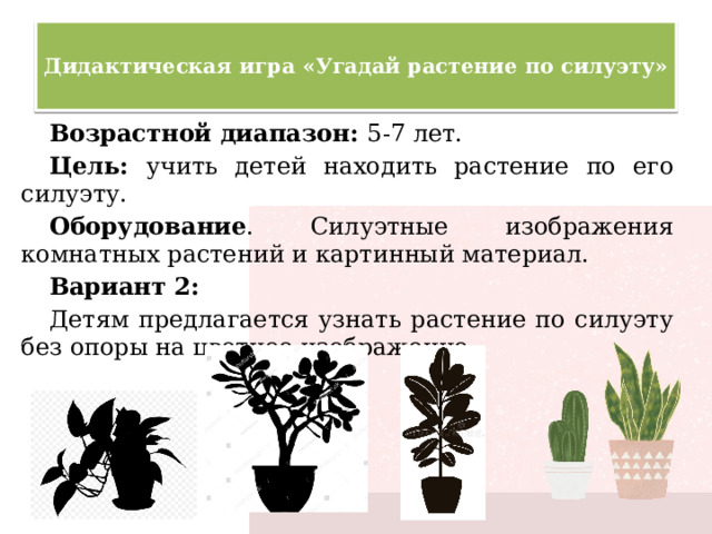  Дидактическая игра «Угадай растение по силуэту»   Возрастной диапазон: 5-7 лет. Цель: учить детей находить растение по его силуэту. Оборудование . Силуэтные изображения комнатных растений и картинный материал. Вариант 2: Детям предлагается узнать растение по силуэту без опоры на цветное изображение. 