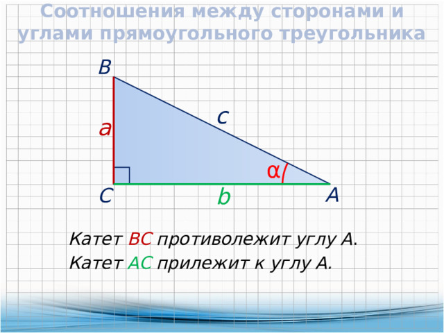 Соотношения между сторонами и углами прямоугольного треугольника  В c  a α b  А  С Катет ВС противолежит углу А . Катет АС прилежит к углу А. 
