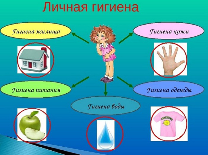 Презентация о здоровом образе жизни
