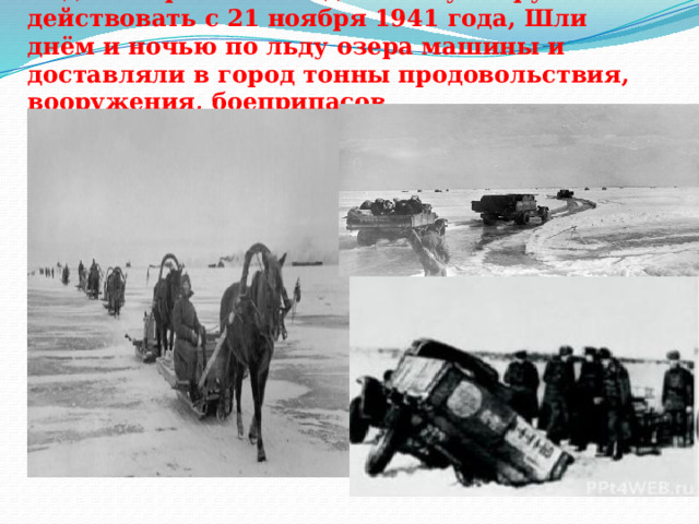 Ледовая трасса по Ладожскому озеру начала действовать с 21 ноября 1941 года, Шли днём и ночью по льду озера машины и доставляли в город тонны продовольствия, вооружения, боеприпасов. 