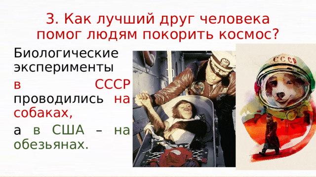 3. Как лучший друг человека помог людям покорить космос? Биологические эксперименты в  СССР проводились на собаках, а в США – на обезьянах. В 1960 году в космос запустили Белку и Стрелку, которые благополучно вернулись на Землю. Эксперименты с животными подтвердили возможность полета человека в космос. Они позволили испытать оборудование для кормления и утилизации отходов жизнедеятельности, кондиционирования воздуха, контроля состояния здоровья и многое другое.  
