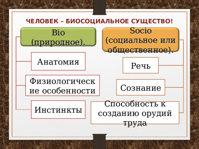 Почему человек биосоциальное существо