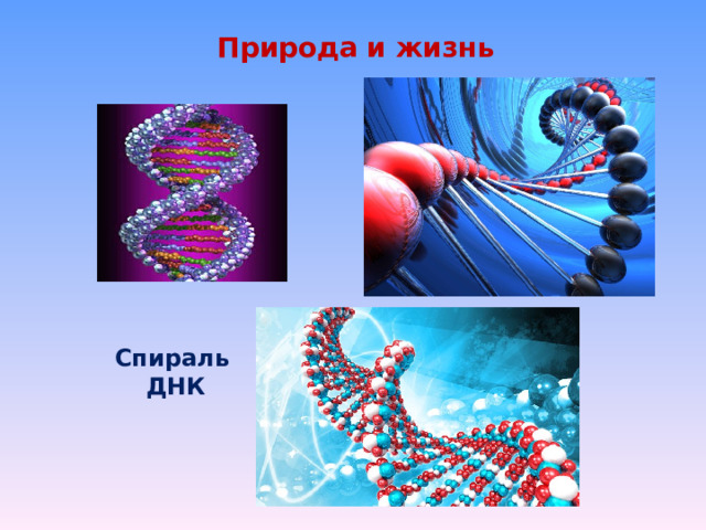 Природа и жизнь Спираль ДНК 