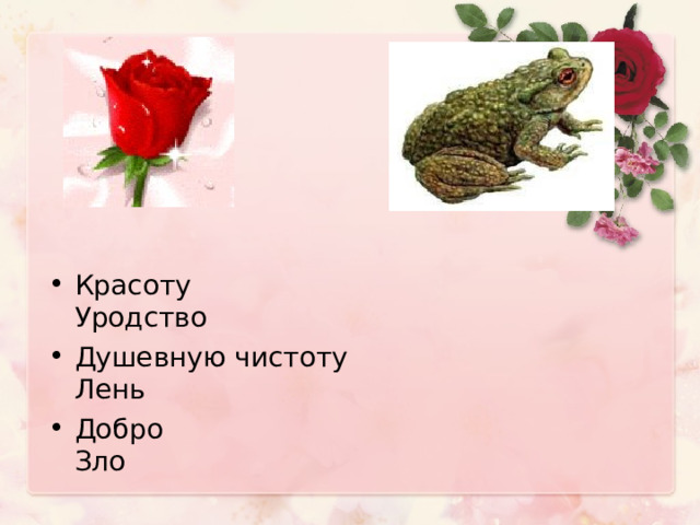 План жабы и розы