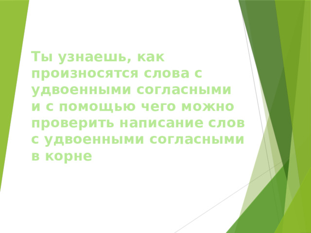 Ты узнаешь, как произносятся слова с удвоенными согласными и с помощью чего можно проверить написание слов с удвоенными согласными в корне     