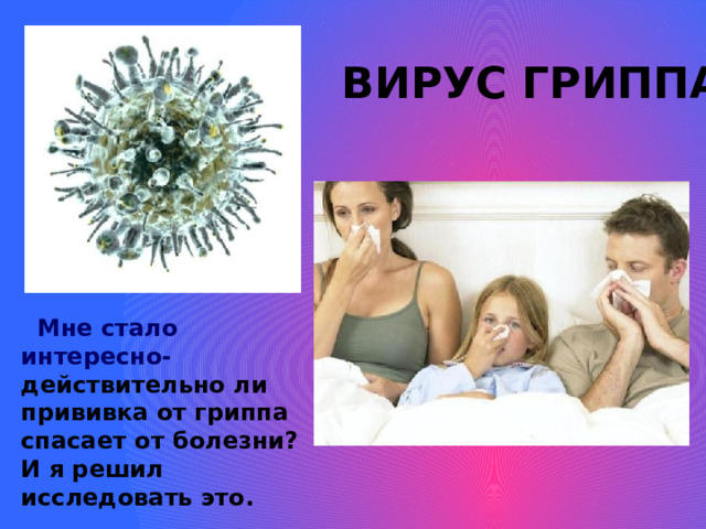 ВИРУС ГРИППА  Мне стало интересно- действительно ли прививка от гриппа спасает от болезни? И я решил исследовать это.  