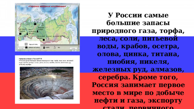 У России самые большие запасы природного газа, торфа, леса, соли, питьевой воды, крабов, осетра, олова, цинка, титана, ниобия, никеля, железных руд, алмазов, серебра. Кроме того, Россия занимает первое место в мире по добыче нефти и газа, экспорту стали, первичного алюминия, азотных удобрений. 