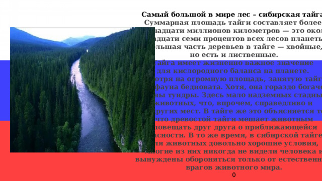 Самый большой в мире лес – сибирская тайга. Суммарная площадь тайги составляет более пятнадцати миллионов километров — это около  двадцати семи процентов всех лесов планеты. Большая часть деревьев в тайге — хвойные,  но есть и лиственные. Тайга имеет жизненно важное значение для кислородного баланса на планете. Несмотря на огромную площадь, занятую тайгой,  её фауна бедновата. Хотя, она гораздо богаче фауны тундры. Здесь мало надземных стадных животных, что, впрочем, справедливо и для других мест. В тайге же это объясняется тем,  что древостой тайги мешает животным оповещать друг друга о приближающейся опасности. В то же время, в сибирской тайге для животных довольно хорошие условия,  многие из них никогда не видели человека и вынуждены обороняться только от естественных врагов животного мира. 0 