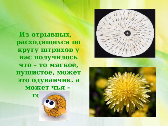 Из отрывных, расходящихся по кругу штрихов у нас получилось что – то мягкое, пушистое, может это одуванчик. а может чья - головка! 