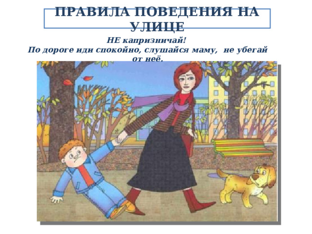 ПРАВИЛА ПОВЕДЕНИЯ НА УЛИЦЕ НЕ капризничай! По дороге иди спокойно, слушайся маму, не убегай от неё. 